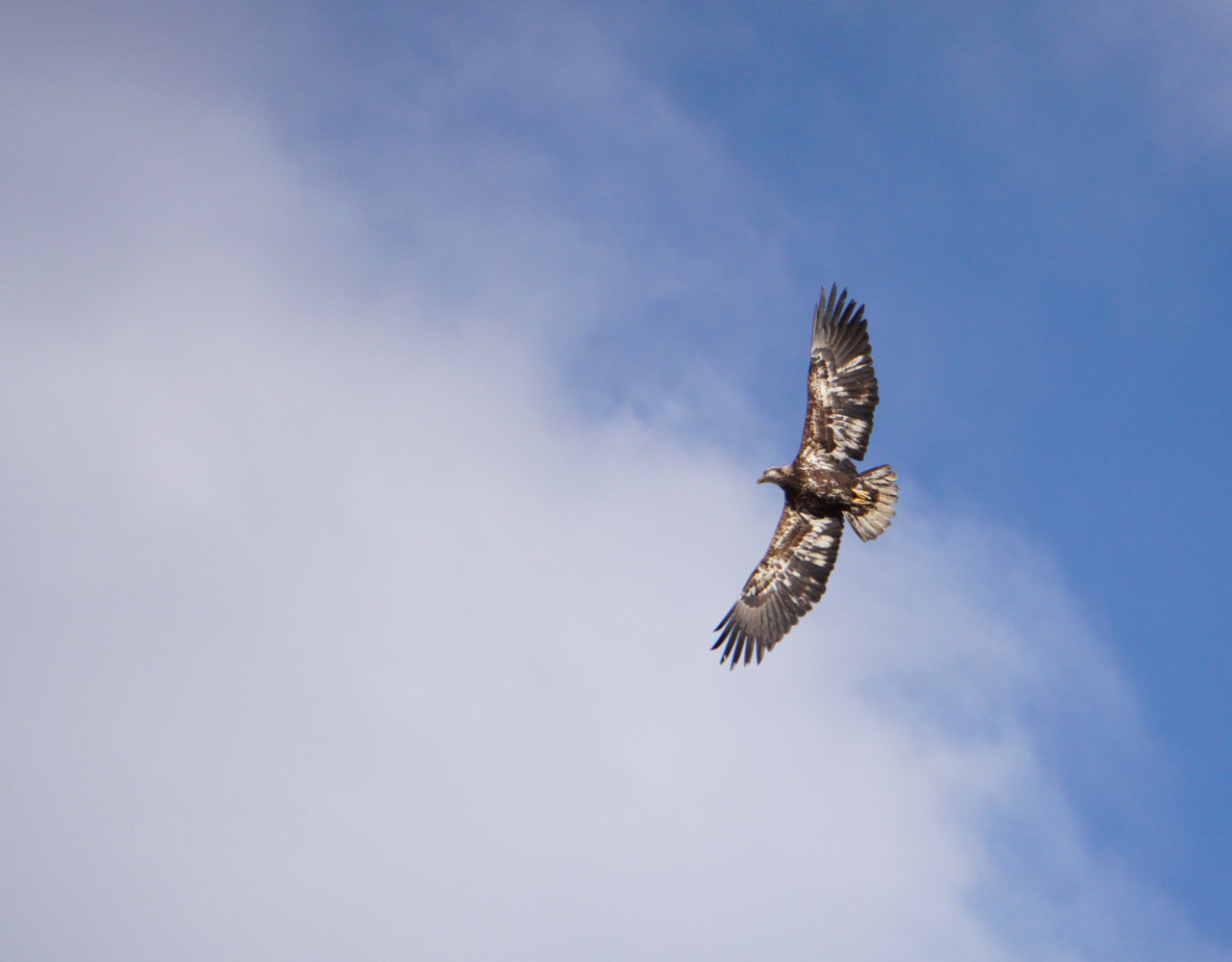 A6515492-1F8F-4285-8818-CF85B52E0146.jpg