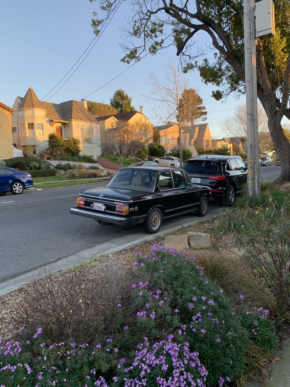 A6B0A12A-1A42-4B7C-AB84-DF198A97EE4A.jpg