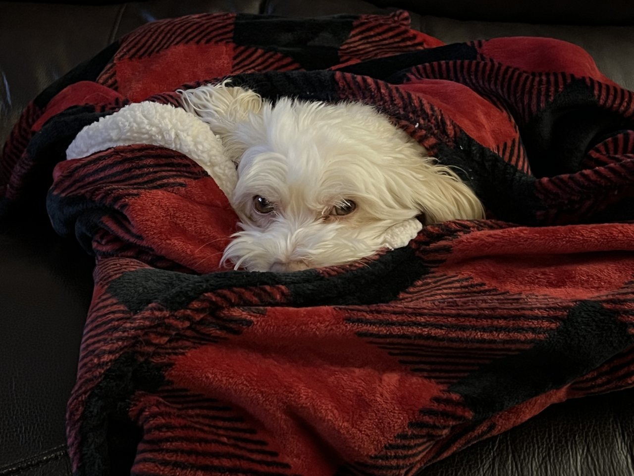 A6B86406-9090-40E0-BAEF-8E79D6561EE4.jpg