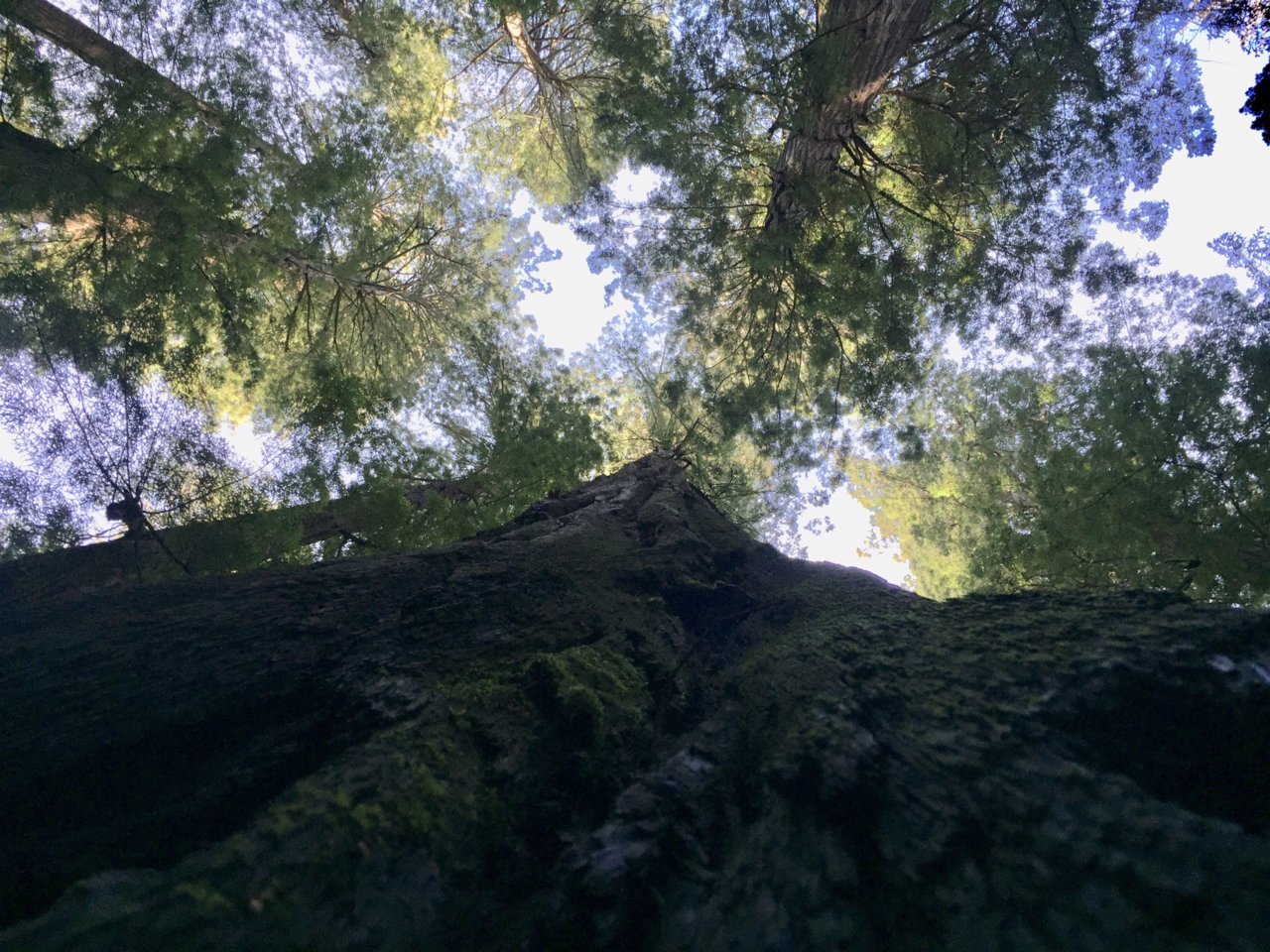 A6CA97BA-A4BB-4C5C-AE40-696F45D58940.jpg