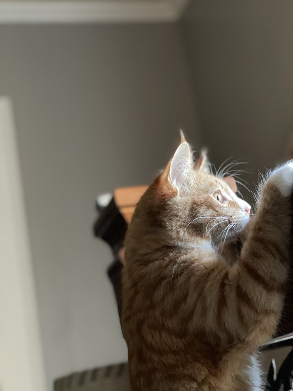 A6CF1DEB-E9D7-4493-946F-1225A58653DB.jpg