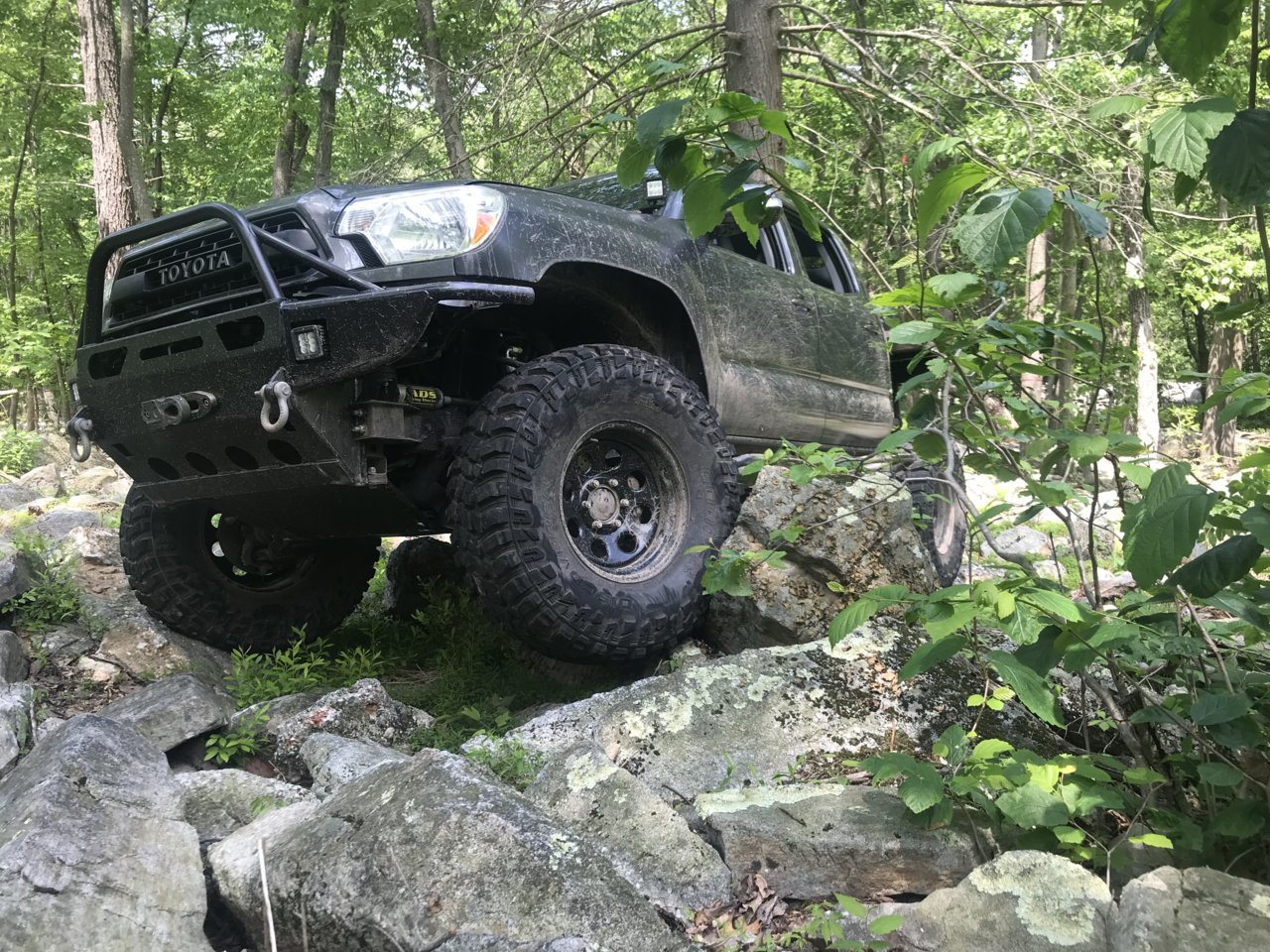 A7A74AF3-3EDC-4FD3-92A9-DA0957A230E5.jpg