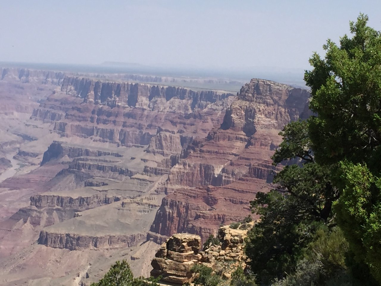 A7AC1A77-3B59-46B4-8AA0-6E317F6C333B.jpg