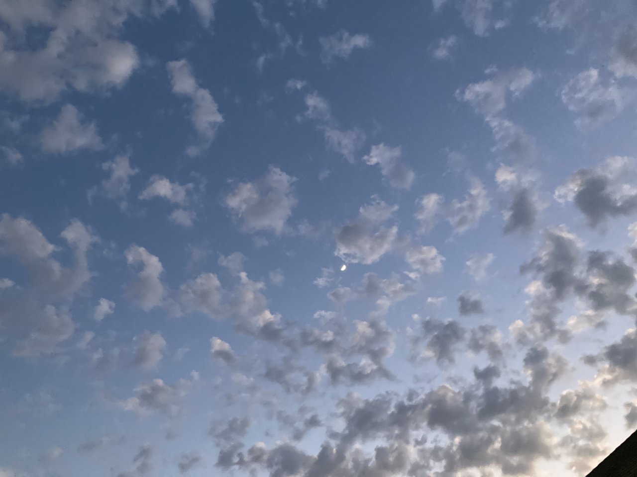 A7BF771B-5BBD-48DB-BB27-16AC54E431C9.jpg