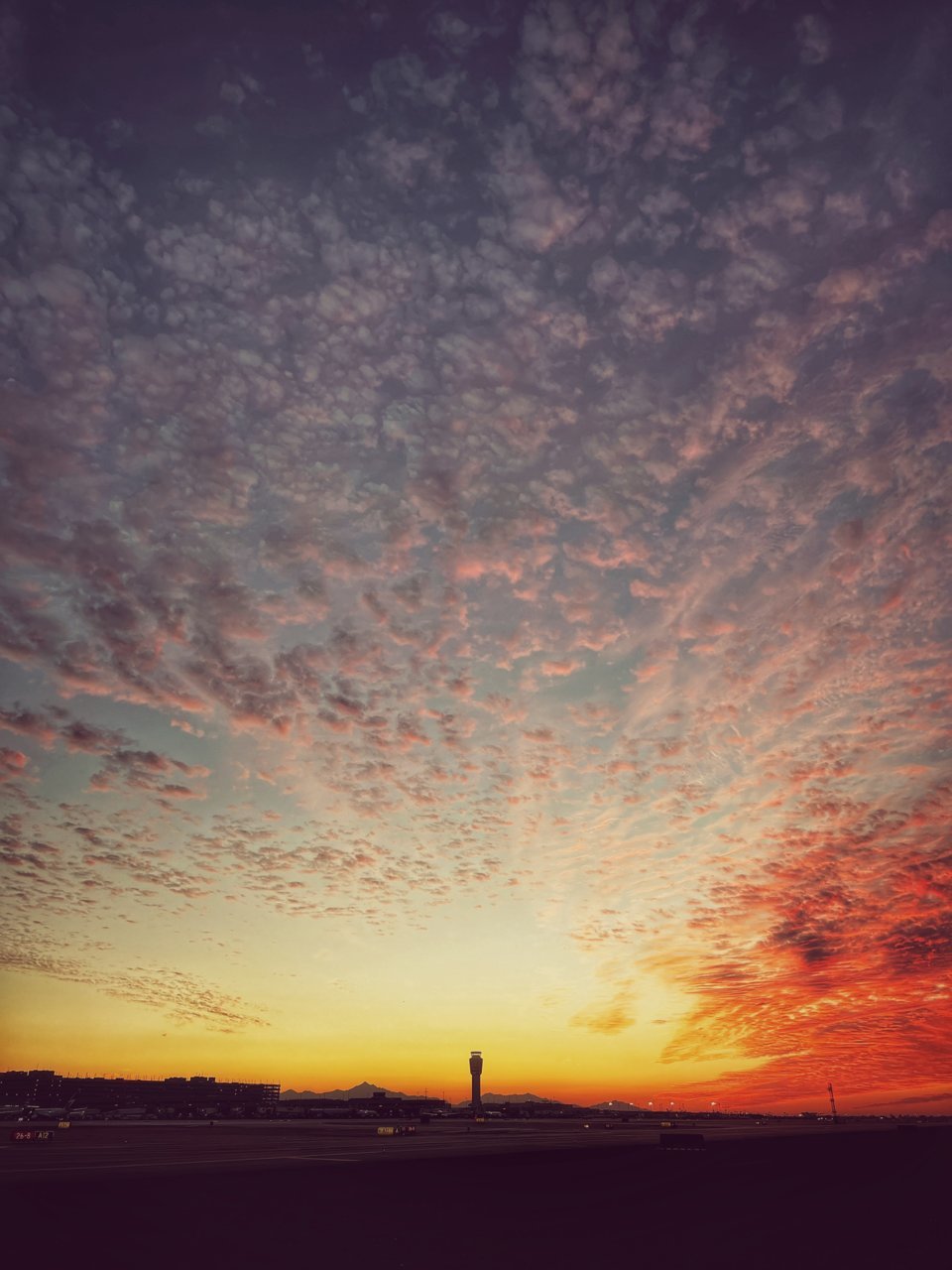 A7D1A52F-10DB-41B3-8131-EFD22718E003.jpg
