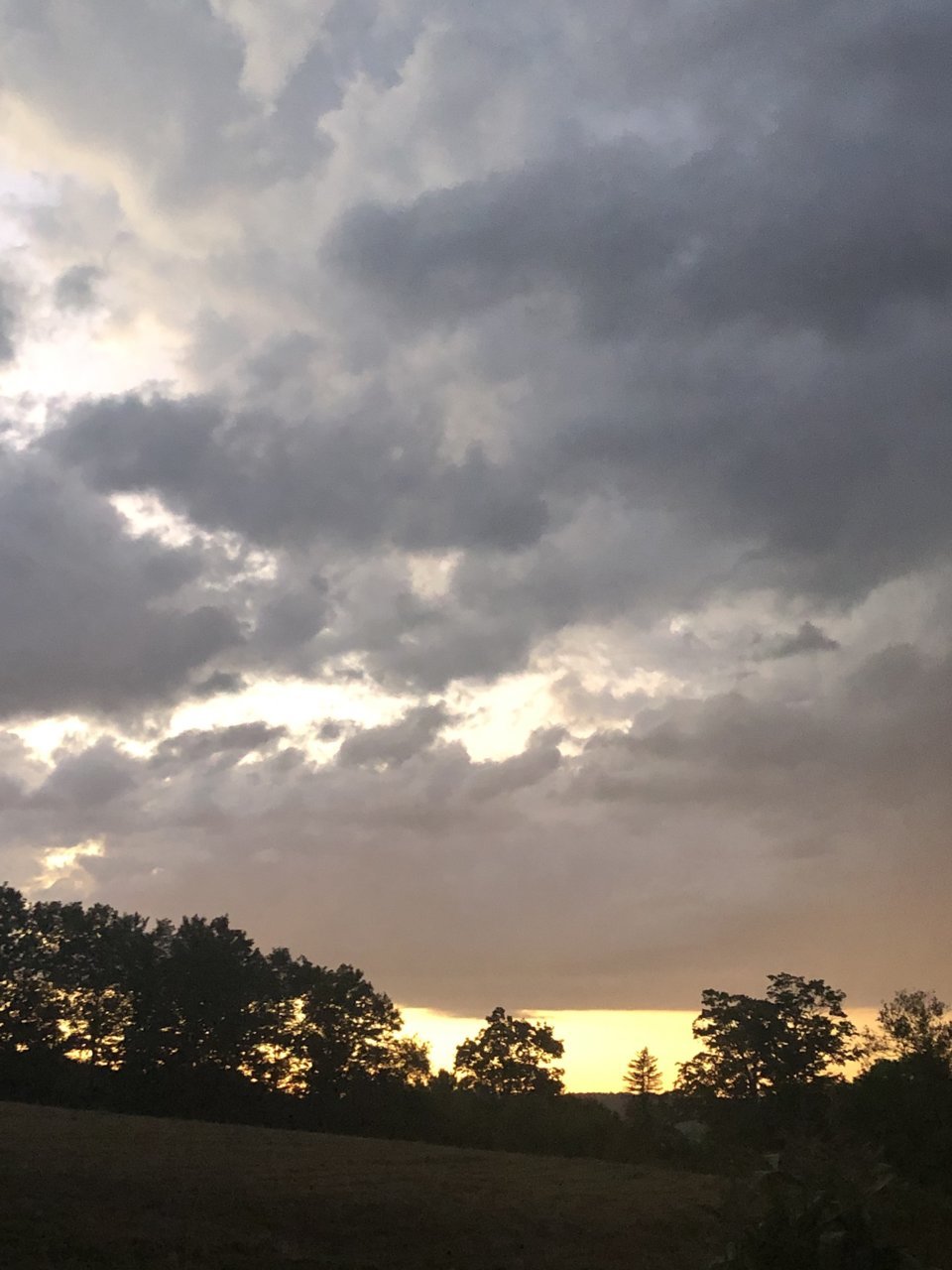 A7E17B42-DA1A-4FE6-BD12-99B9969317D9.jpg