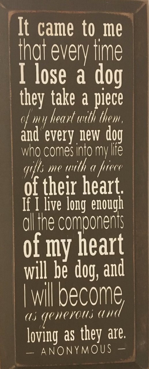 A7E34D8D-0945-41FE-BA6F-07E67C905B71.jpg