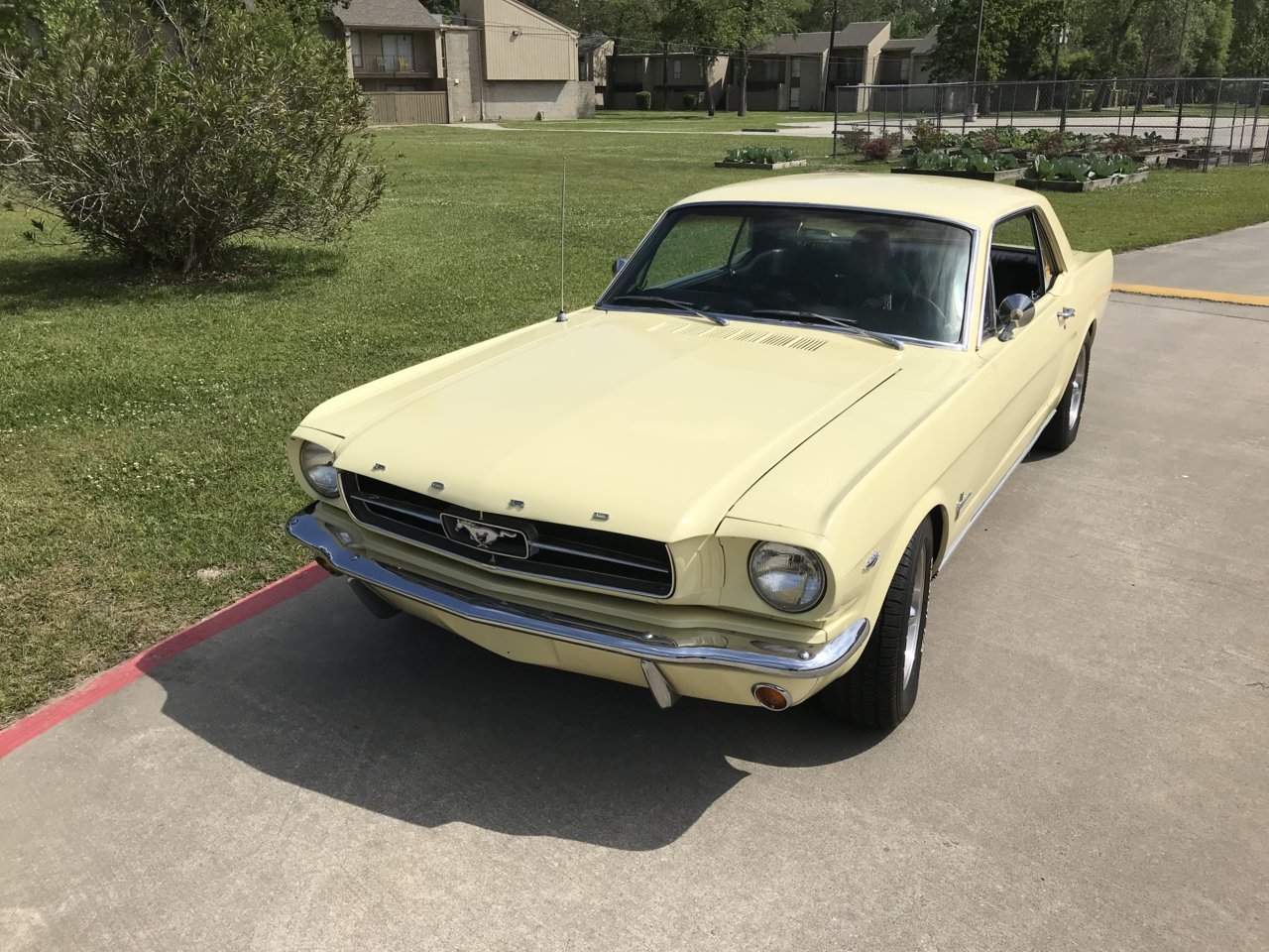 A7F60C64-AF7B-4496-866F-4C38CBB6A9E1.jpg