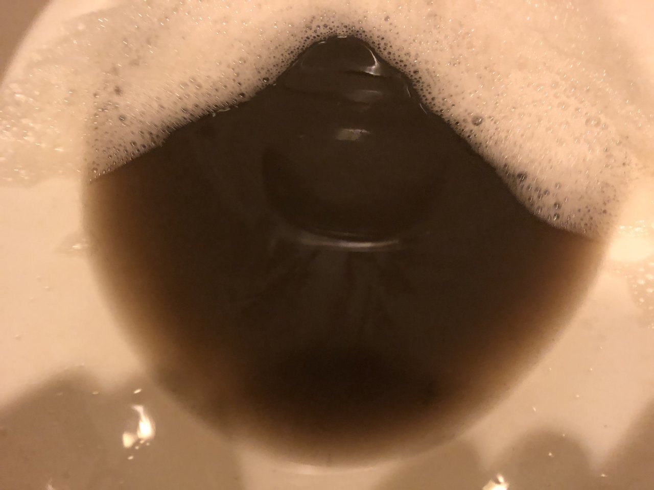 A83040C7-BE5E-47B8-9079-476B7668F32C.jpg