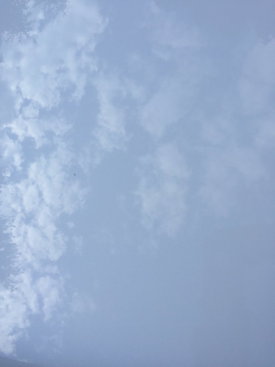 A86A523E-A525-4592-A440-E7899279C3DC.jpg