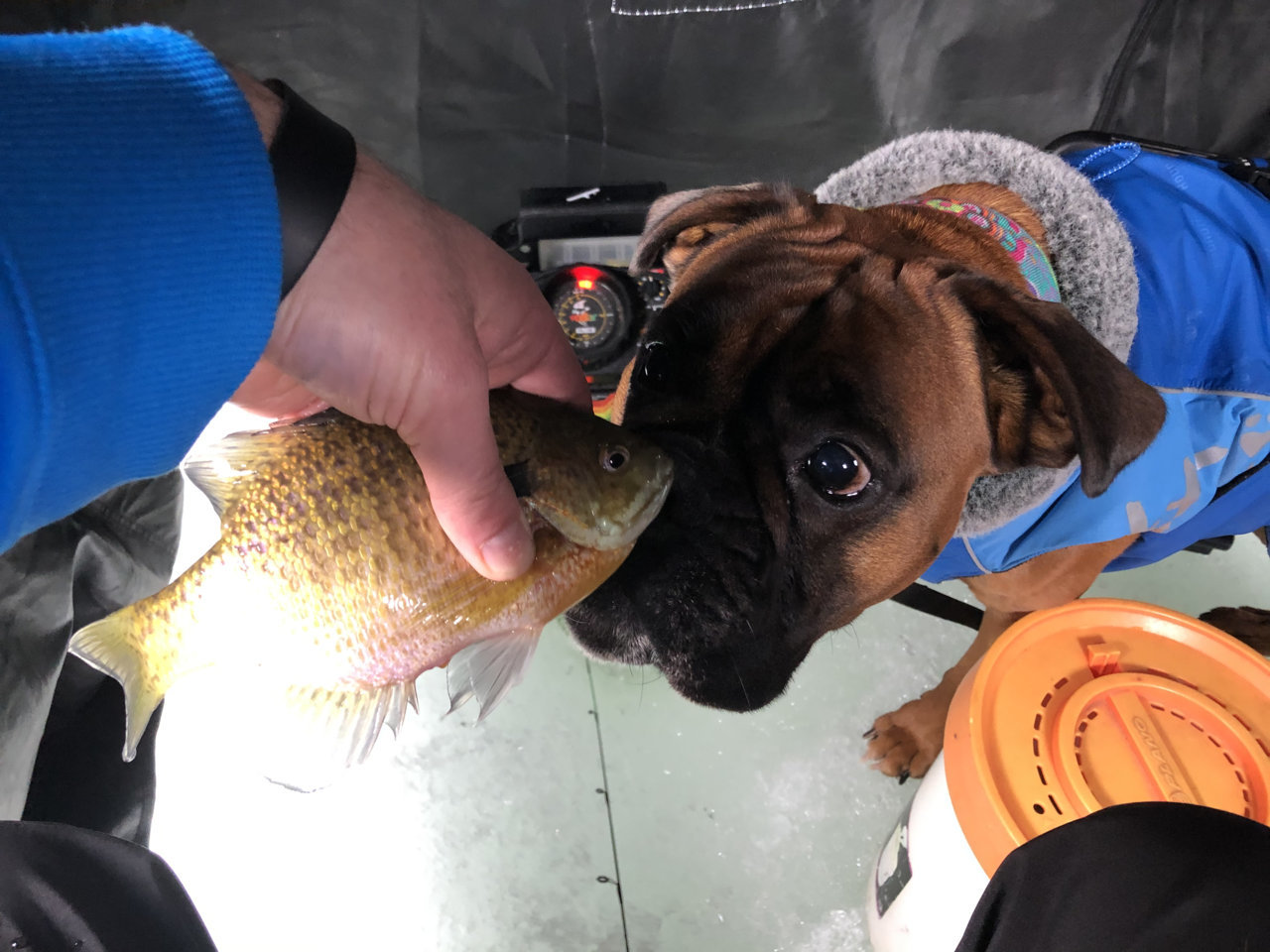 A8C0F6F0-0A7C-40EF-9D60-088D84F9A8F0.jpg