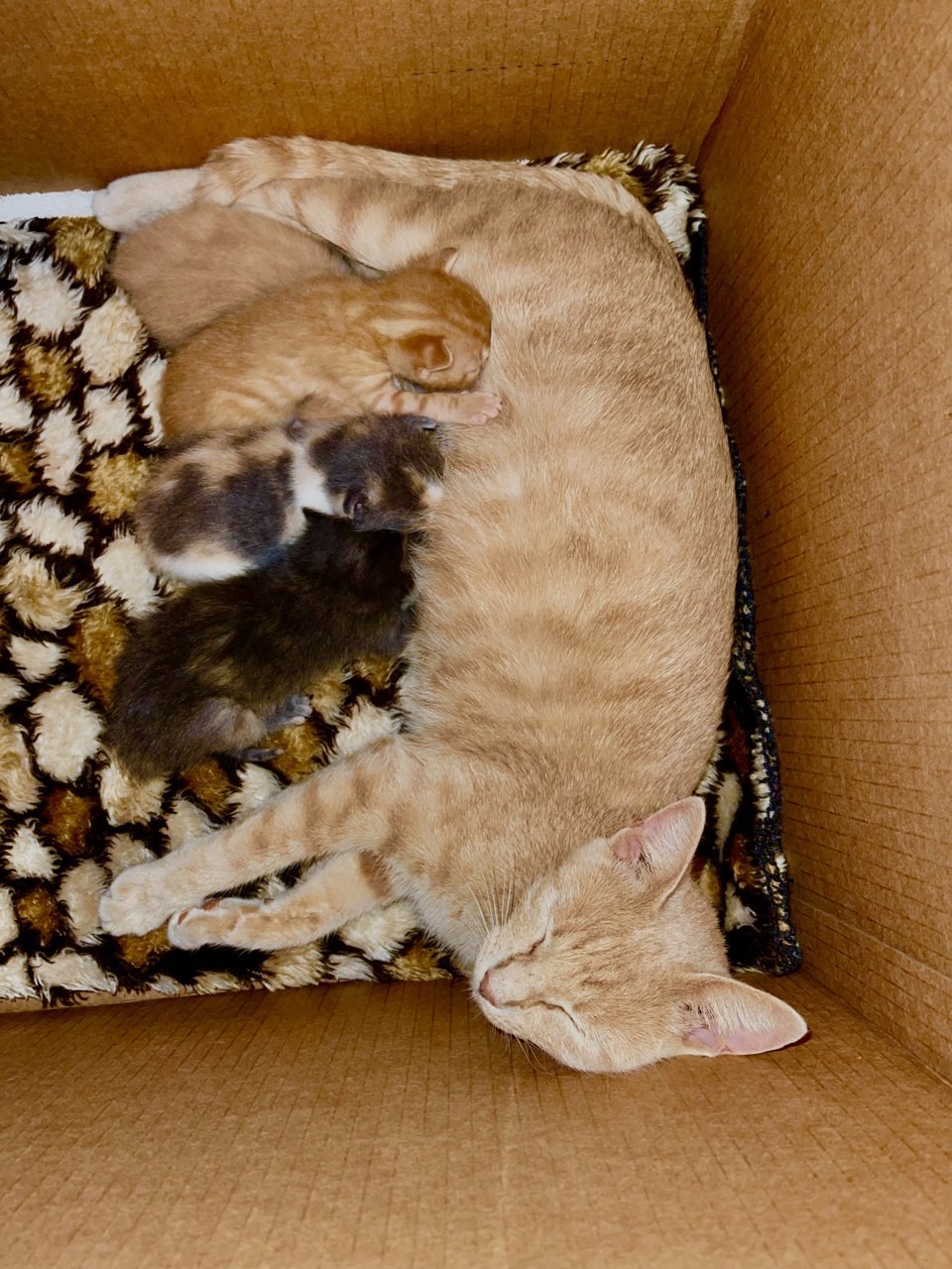 A92E949C-C6DE-4982-AA89-48AC8CC8F426.jpg