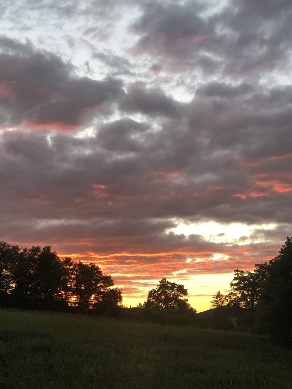 A93F0740-C831-42D9-86E6-757C4CDDF268.jpg