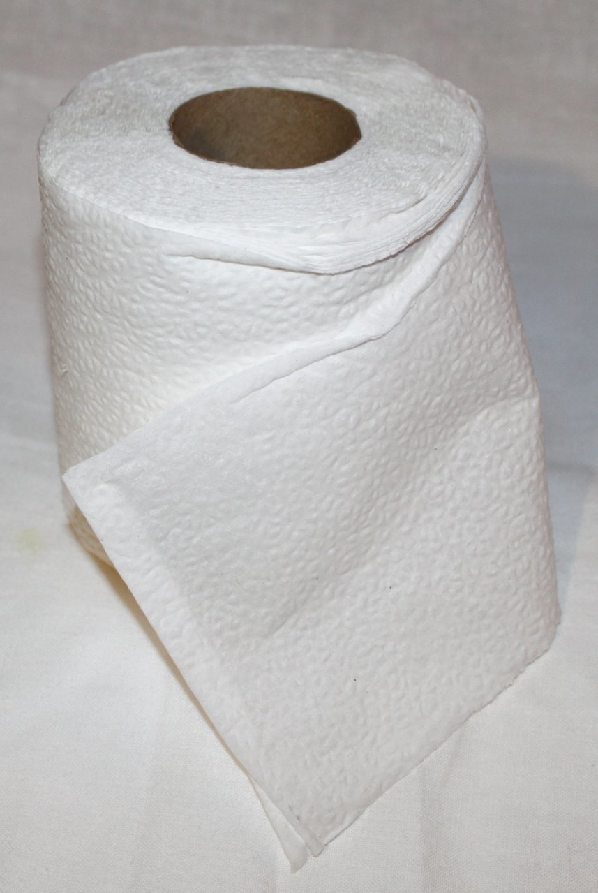 A_Roll_of_Toilet_Paper.jpg