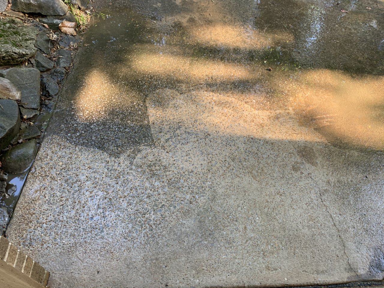 AA0CA219-E18D-4456-997B-EC7235F6F535.jpg
