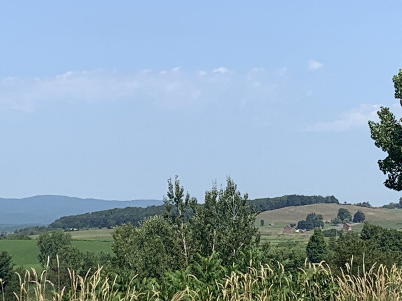 AA740F31-2633-4C63-95EA-C7EBBA7DDF75.jpg
