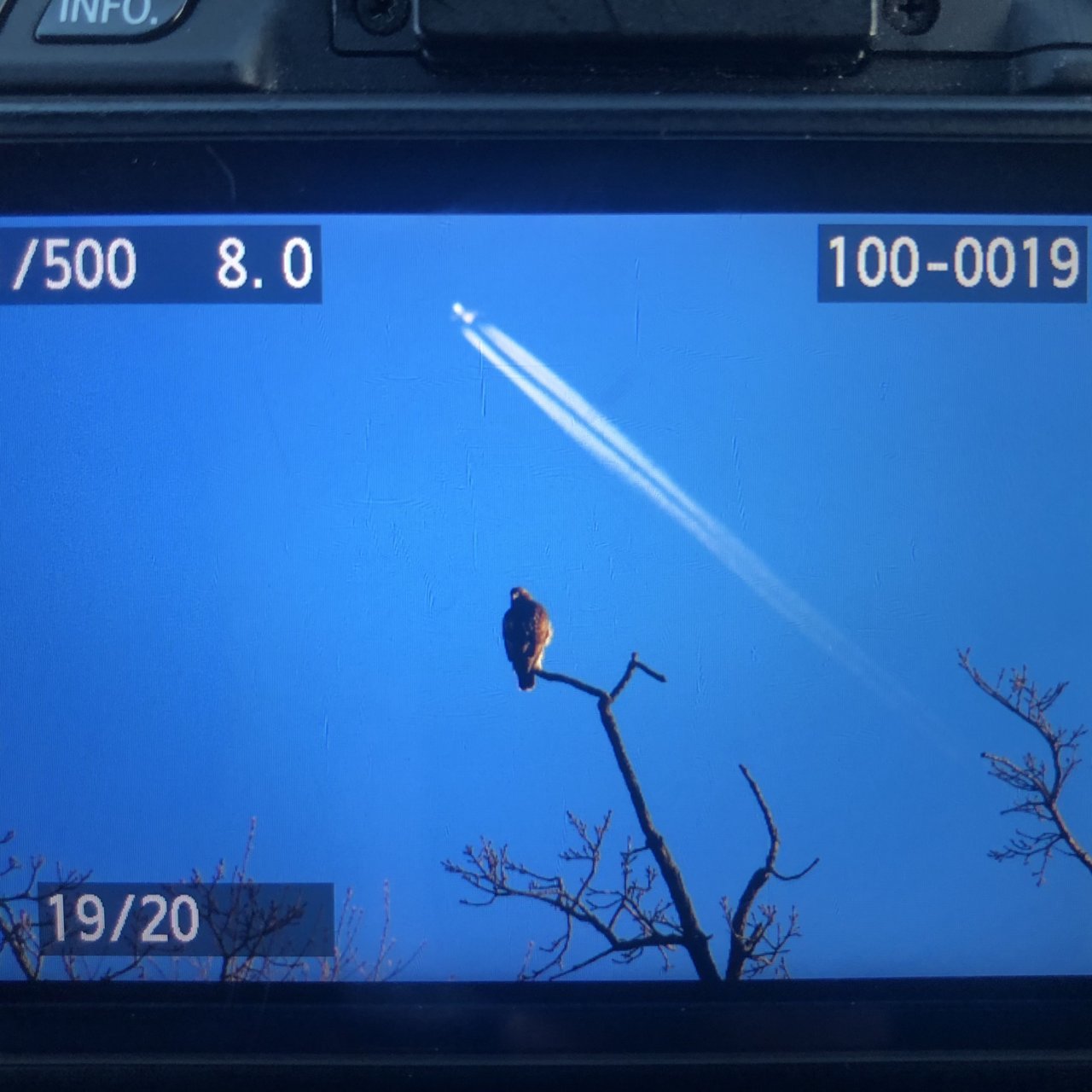 AA8365E6-F353-4EA3-9EBF-F9DEABAD2484.jpg