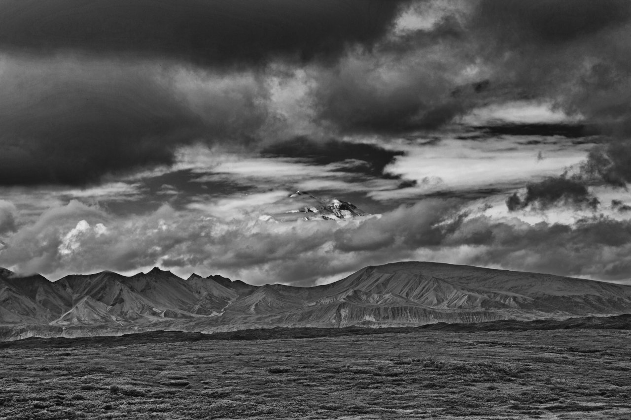 AA9A6556bw.jpg