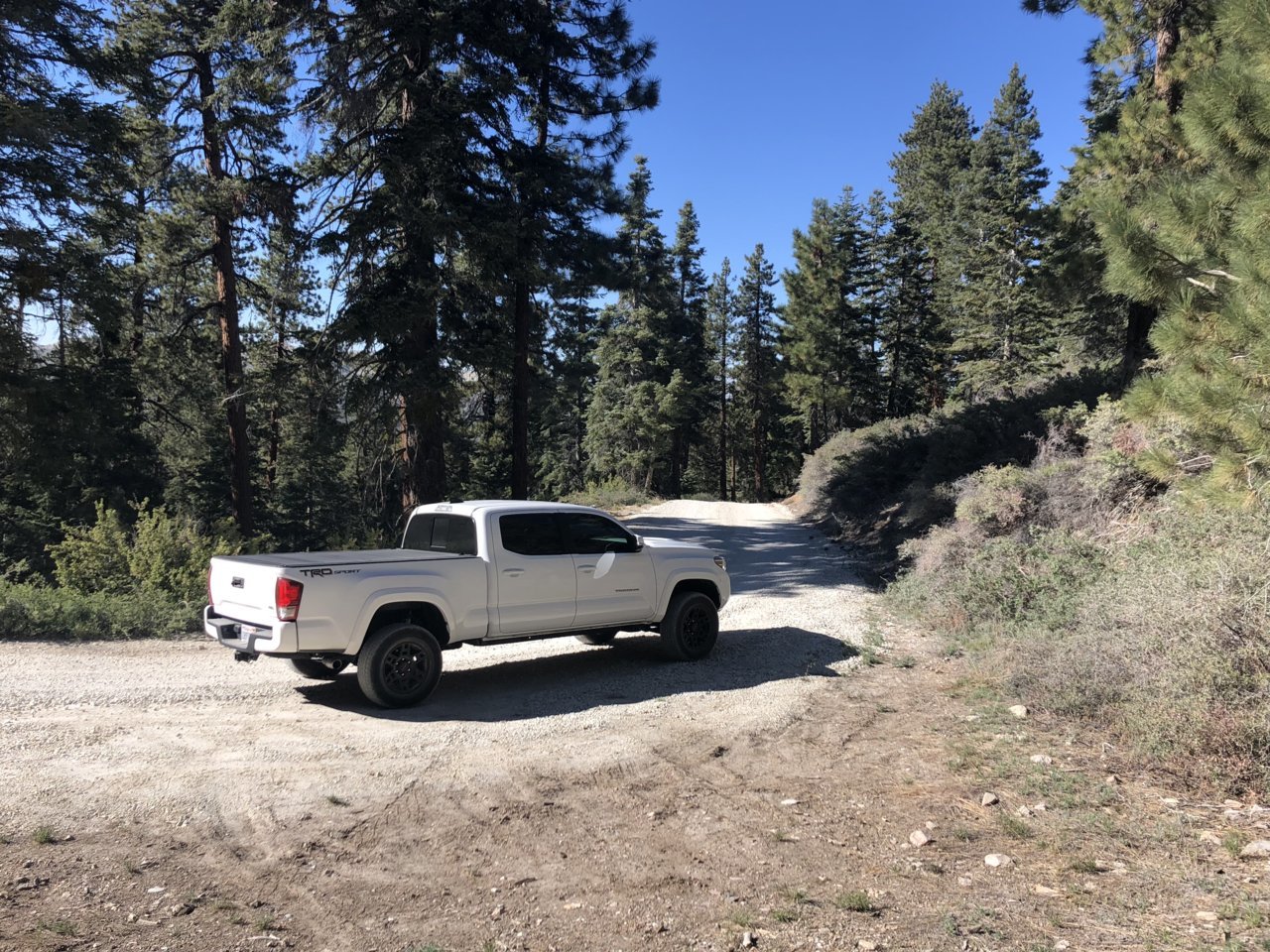 AAA7E838-E592-42BA-9912-734515C9113D.jpg