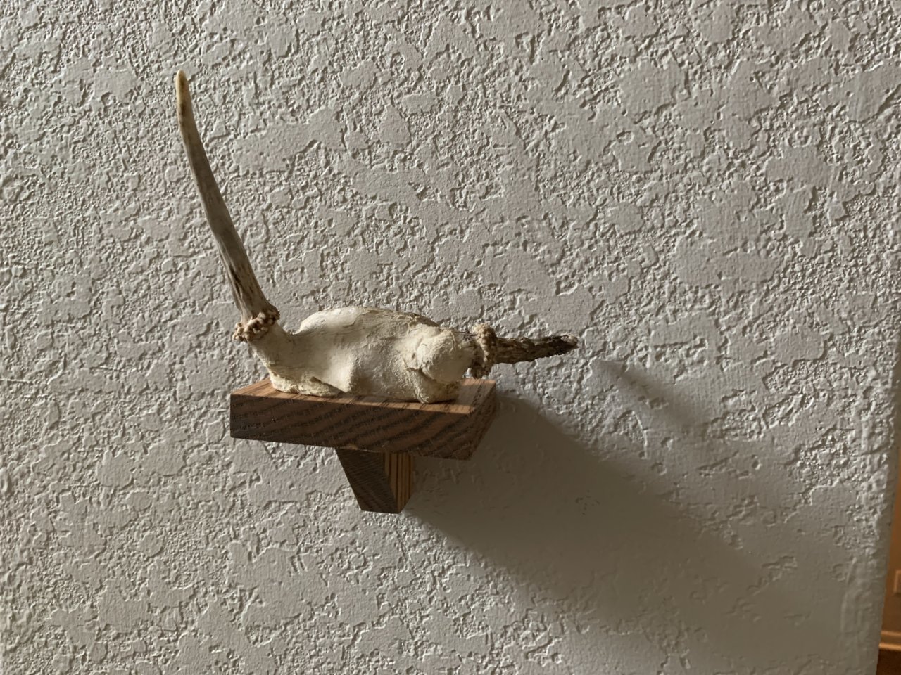 AAB0A293-CA83-473C-9232-26B9F43908D2.jpg