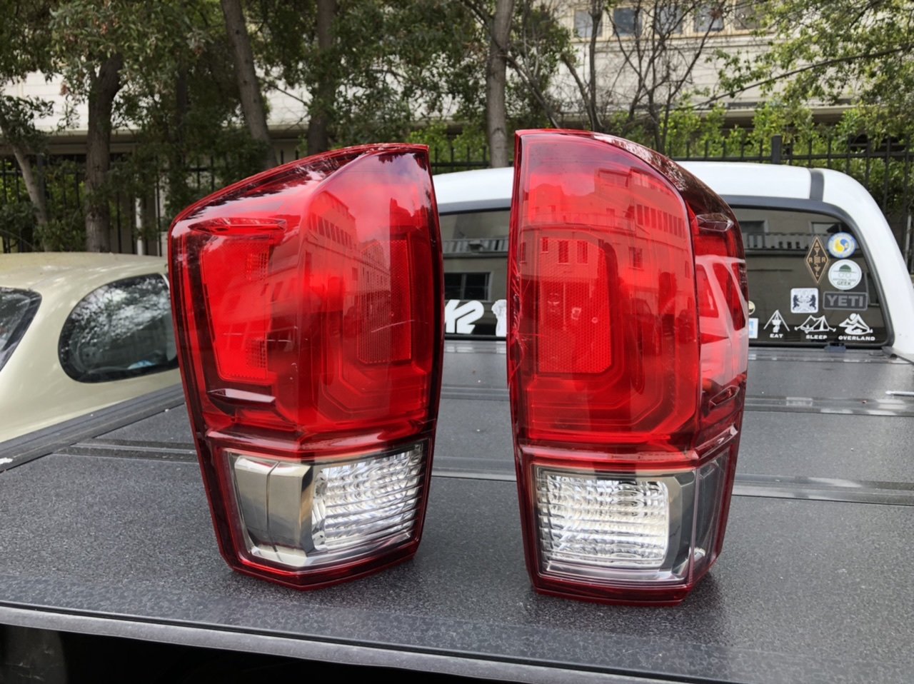 AAB10A0A-0744-43FE-9ECA-ABCED67BCCE8.jpg