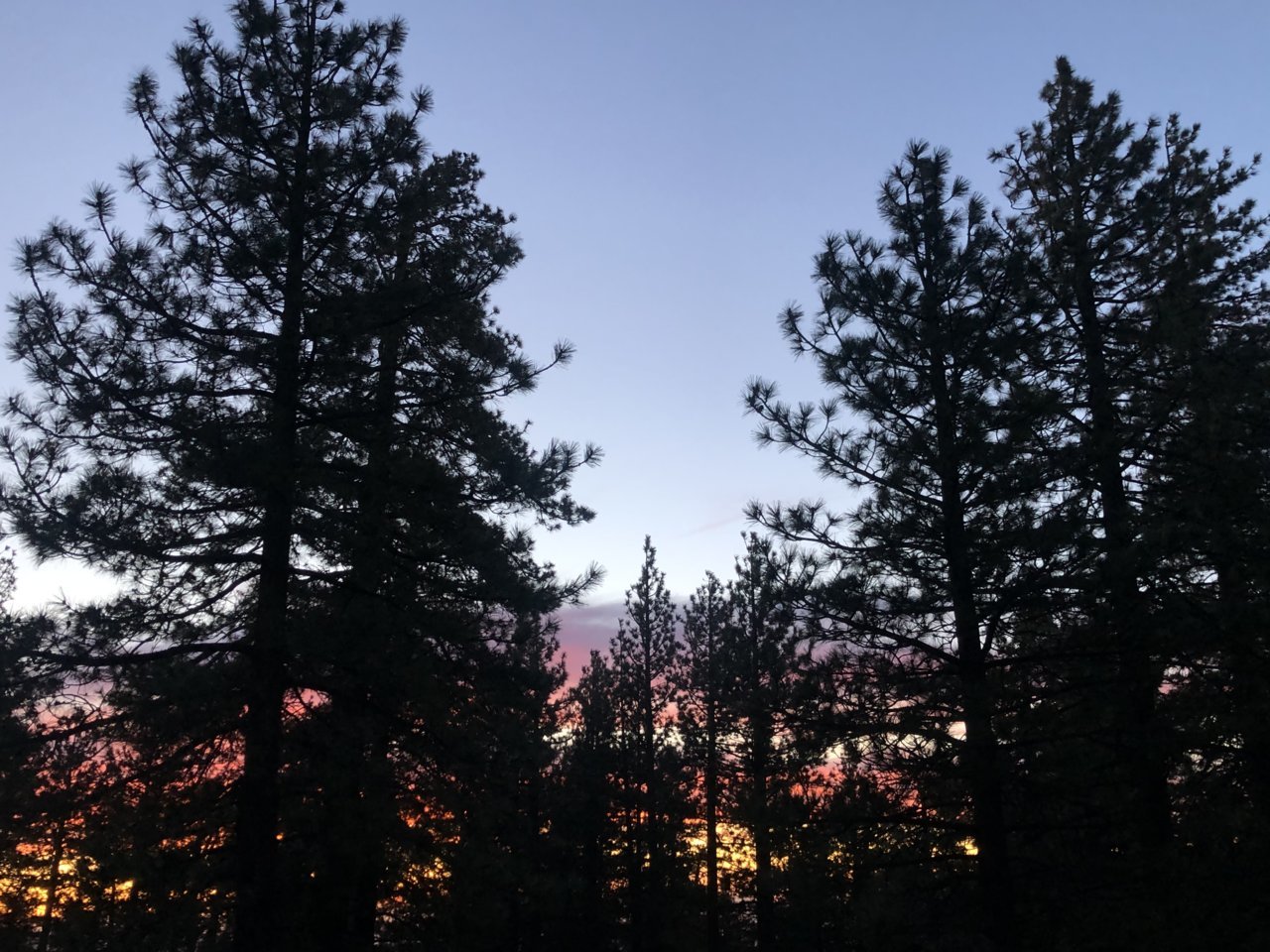 AAB8A987-7813-4EBB-BC36-8343BB781CD0.jpg