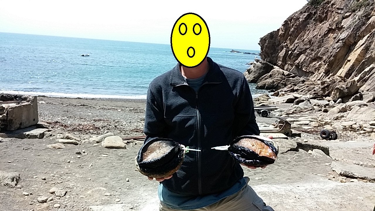 ab.jpg