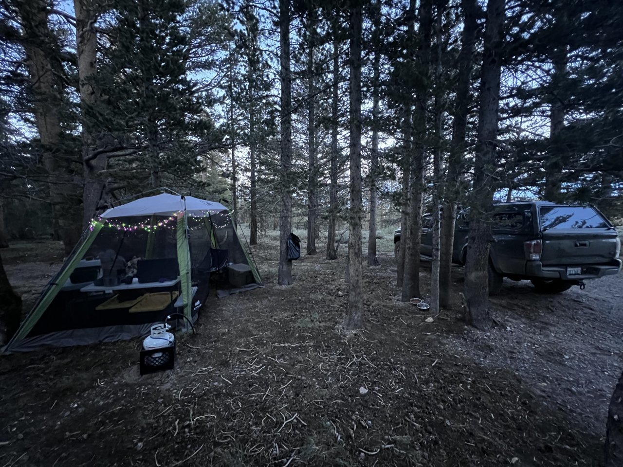 AB07F3C0-F7FE-4EBD-A83F-71827F53993F.jpg