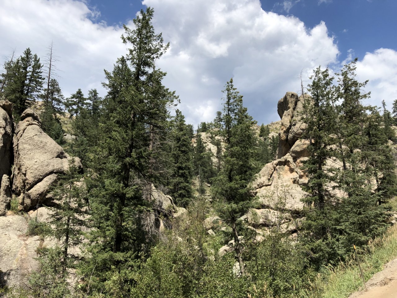 AB2683E8-2B62-470A-8847-122DCA11295B.jpg
