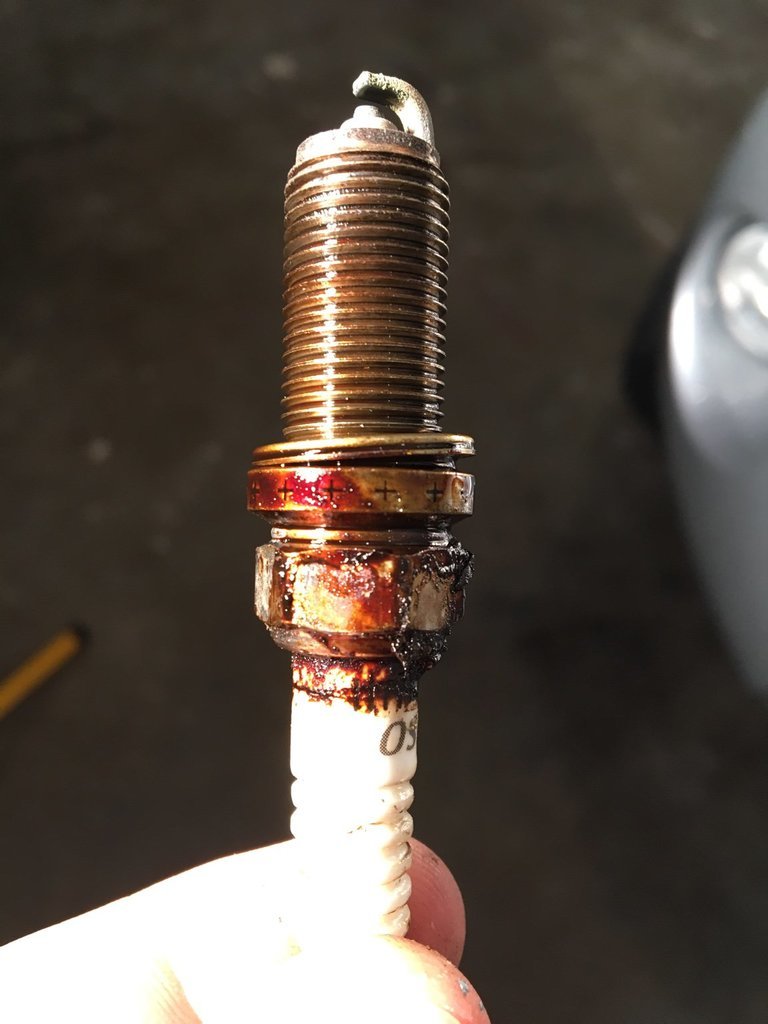 Oil on spark plug World