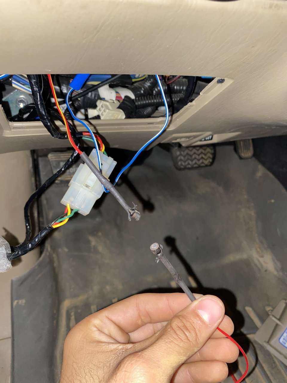 ABAD7EBB-8823-49CE-914E-91F34AA05AC1.jpg