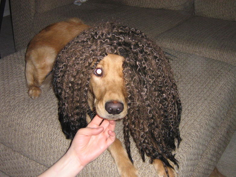 abbie (120).jpg