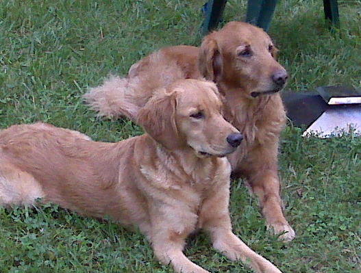 abbie and marvin (14).jpg