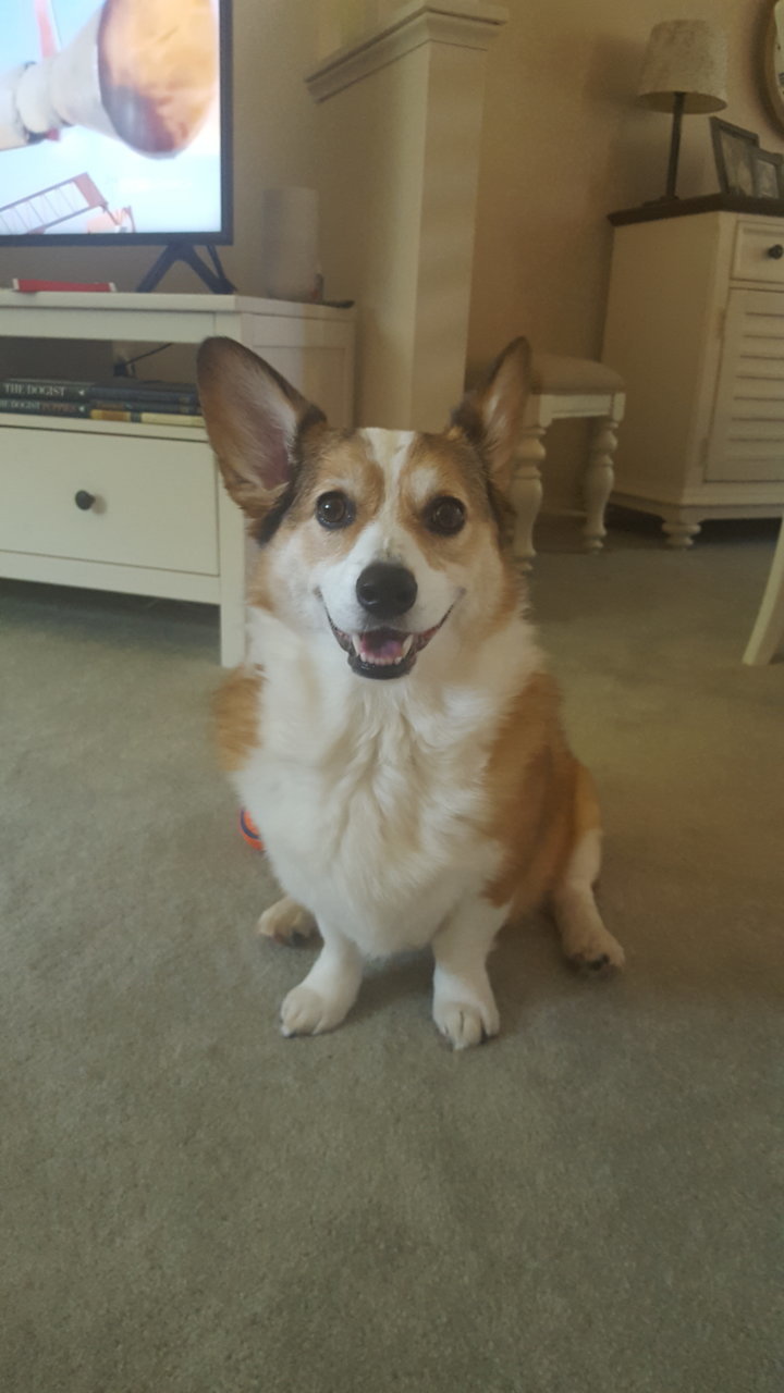 abby.jpg