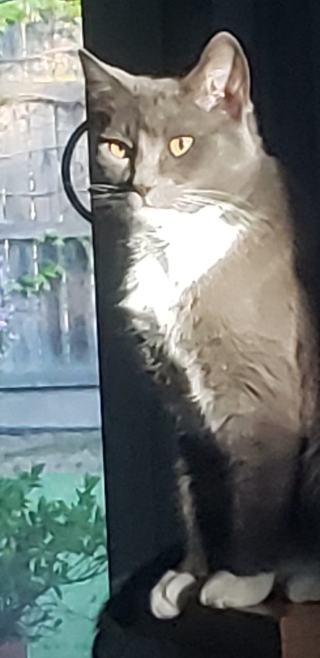 Abby Photo 2.jpg