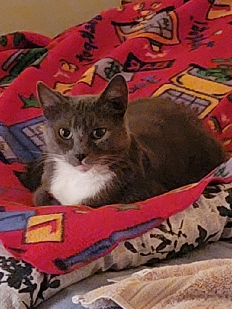 Abby Photo 3.jpg