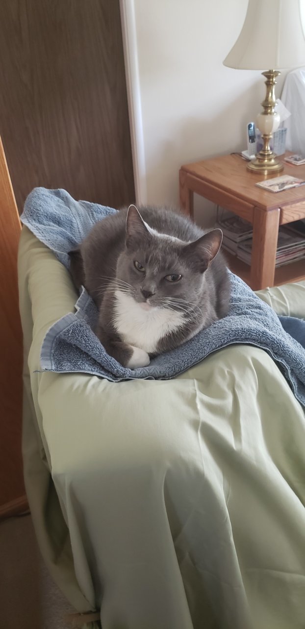 Abby photo.jpg