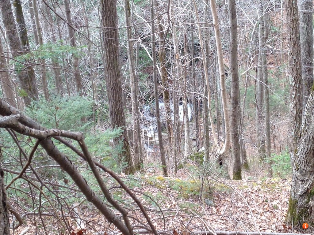abe4u3yq_34674060c3f6b443a1083ab2efd24c7984b3ea56.jpg