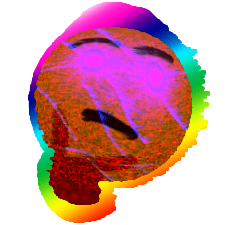 abort.png