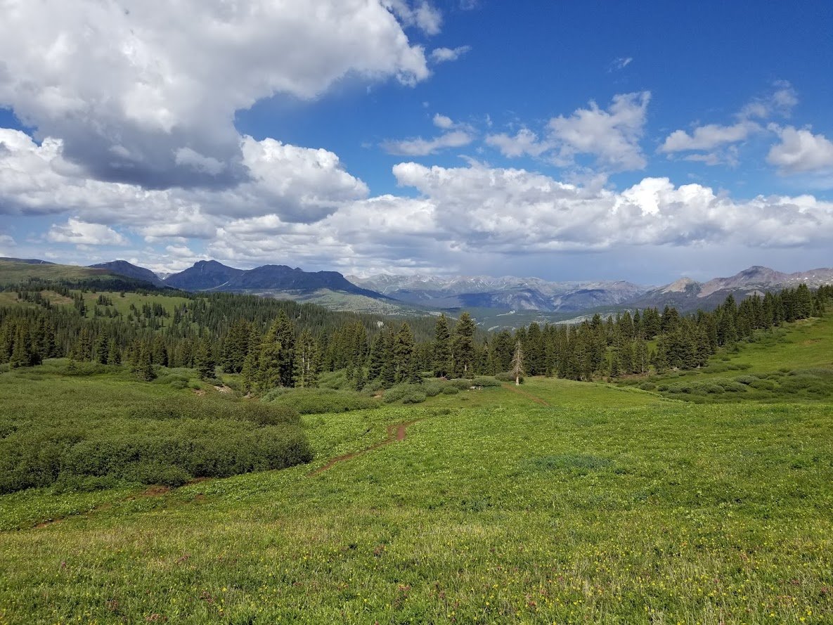 above treeline.jpg