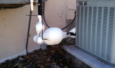 AC-condenser-frozen-dryer.jpg