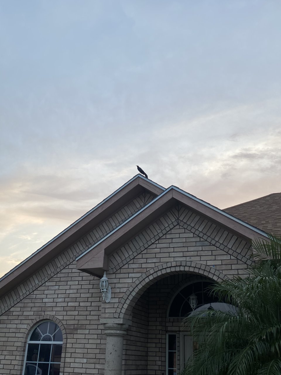 AC16D390-81B8-4FED-9465-2D2BE01837C7.jpg