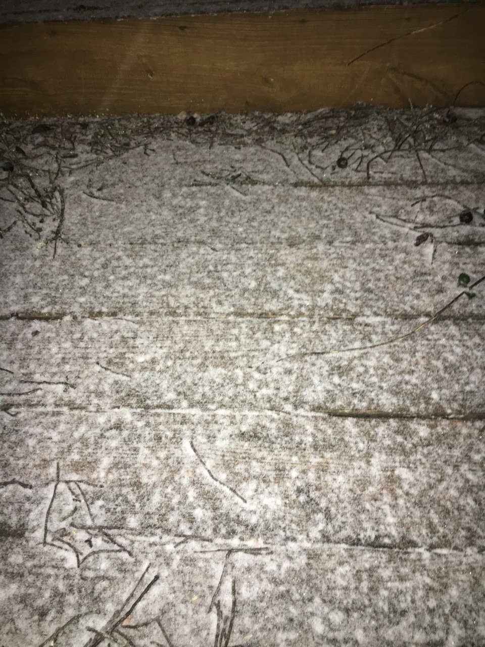 AC6DF47F-09E0-4406-A8CF-AAC37DD5E55C.jpg