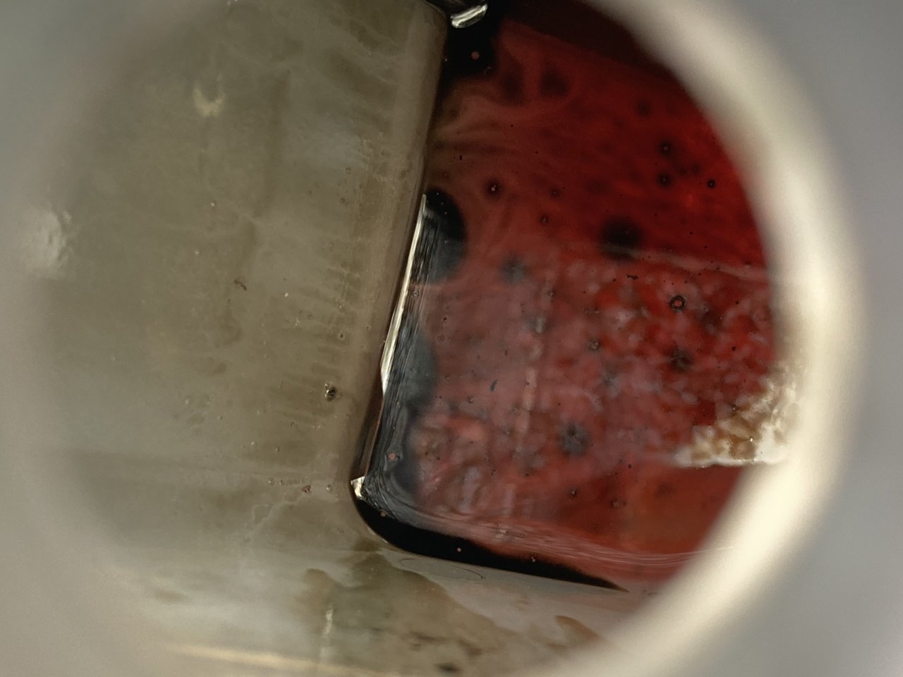 AC8AE6A8-4370-42D2-866B-0956CD009E7F.jpg