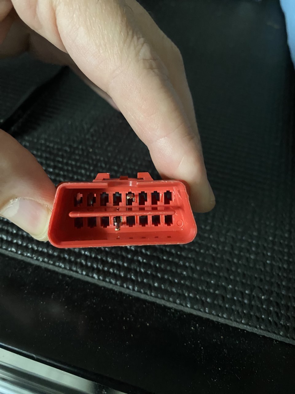 ACCD4319-E3A1-4EF2-9B89-CE39D73ABAE6.jpg