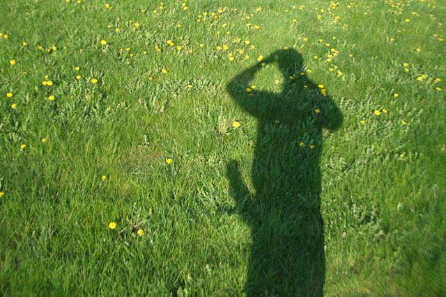 accidental_shadows_full_of_sexual_innuendo_640_06.jpg