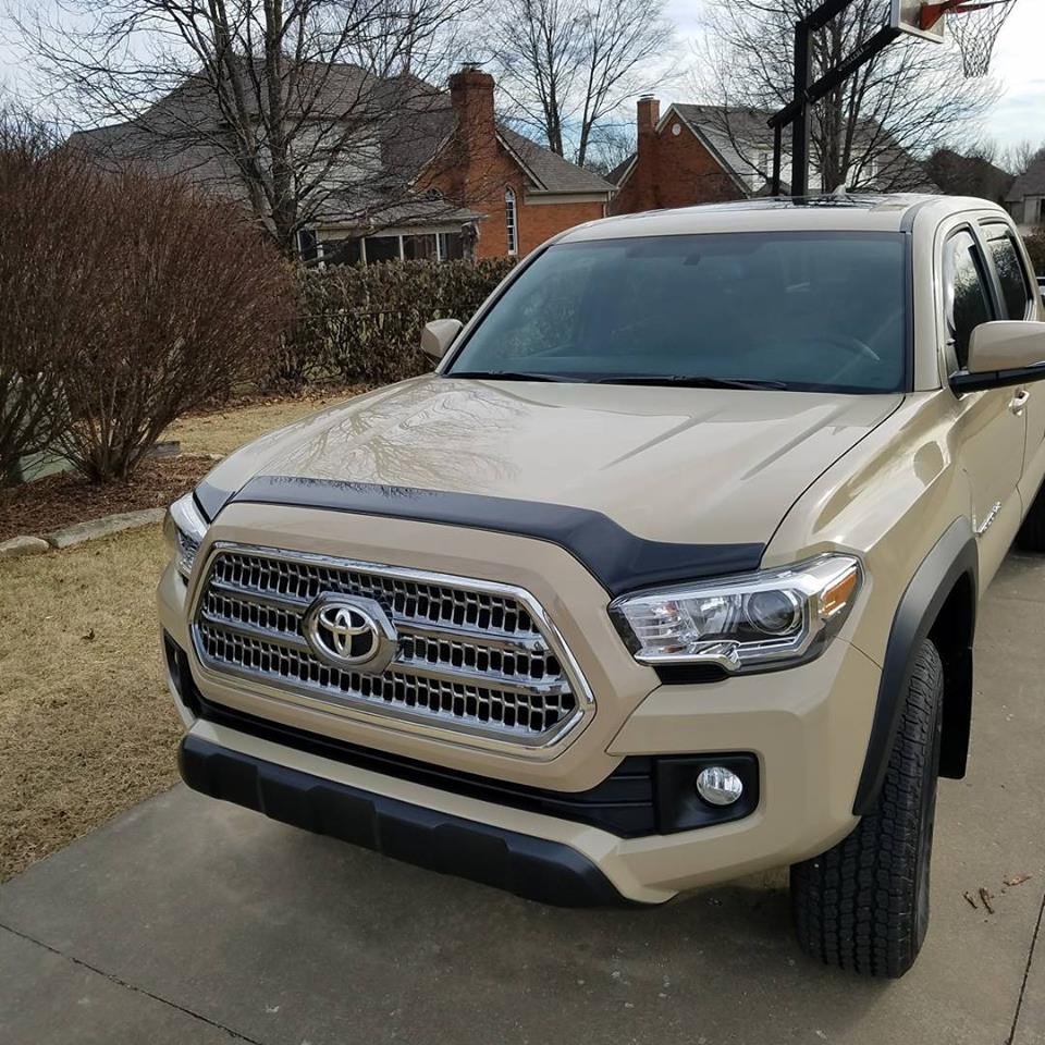 toyota tacoma bug shield