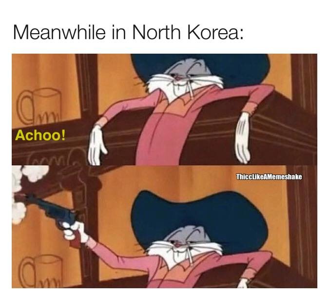 achoo.jpg