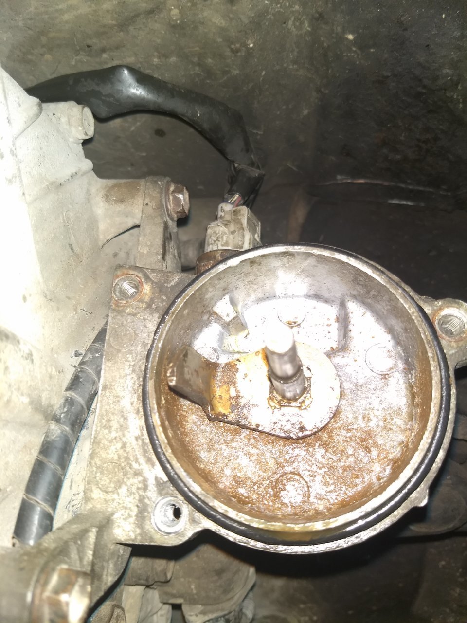 Actuator 2.jpg