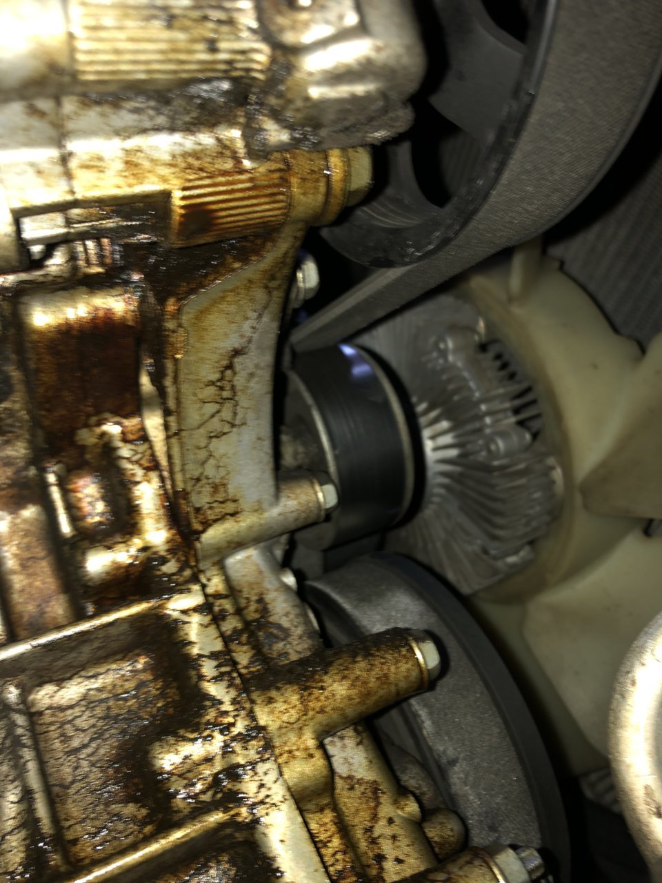 Oil leak photos... timing chain cover? World